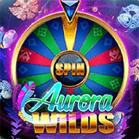 MicroGaming